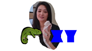 Kenapa bunglon berubah warna?