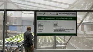 Pertamina Foundation Wujudkan Pelestarian Lingkungan lewat Program Hutan Lestari