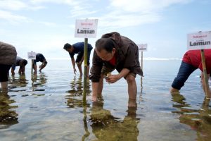 Bersama Pelanggan, Telkomsel Tanam 3.000 Bibit Lamun dan Bangun Rumah Kultivasi di Pangandaran