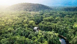 Tak Bisa Diperjualbelikan, Pemanfaatan Hutan Harus dengan PPKH