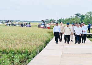 Hadiri Panen Raya di Karawang, Presiden Prabowo Deklarasikan Swasembada Pangan Nasional