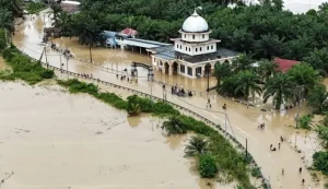 Deforestasi Bertemu Cuaca Ekstrem Telan 1.117 Korban Jiwa hingga Hilangkan 157 Ribu Hektare Hutan